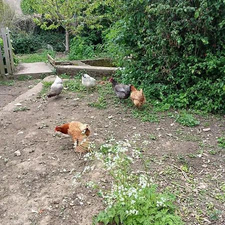 L'atelier Nyaraló